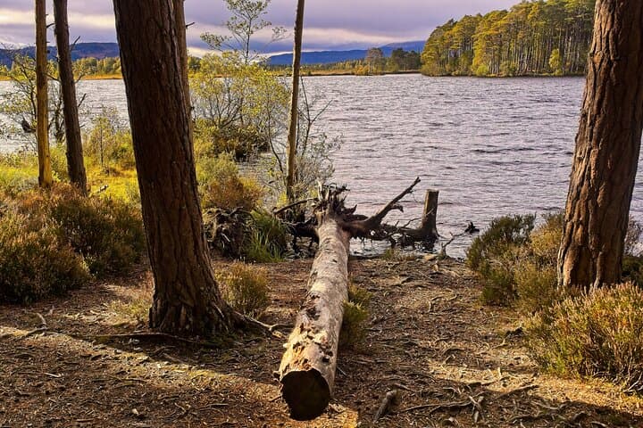 Into the Wild Scottish Highlands Walking Tour from Inverness