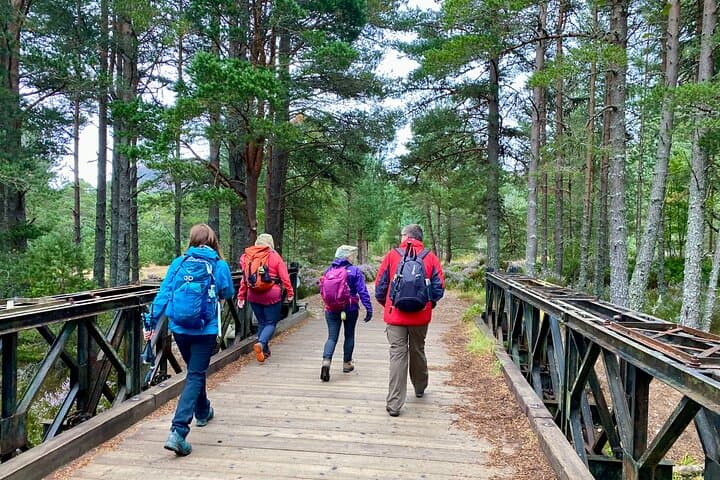 Into the Wild Scottish Highlands Walking Tour from Inverness