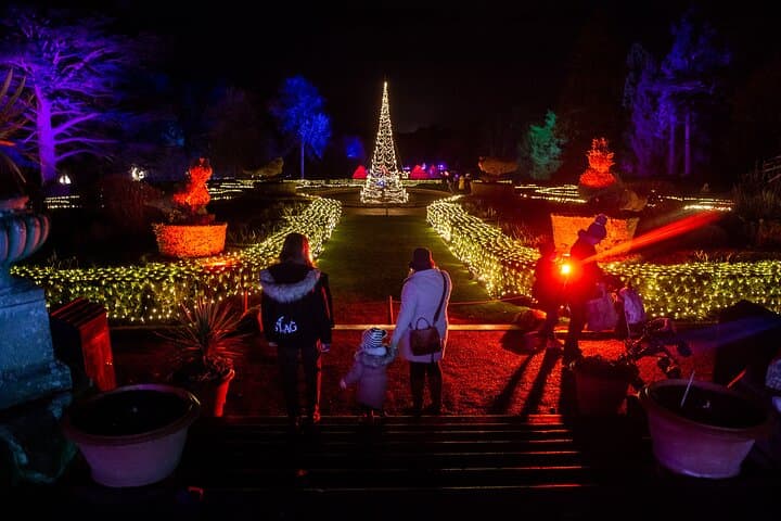 Christmas at Warwick Castle - Light Trail + Entry