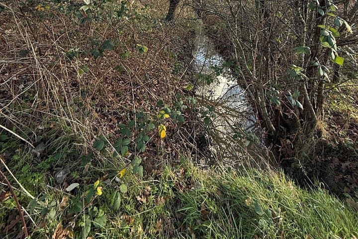 The Ealing Beaver Project: A Self-Guided Walking Tour