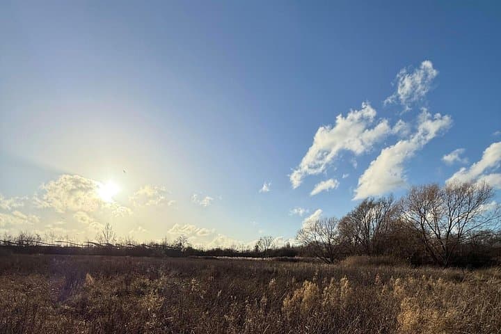 The Ealing Beaver Project: A Self-Guided Walking Tour