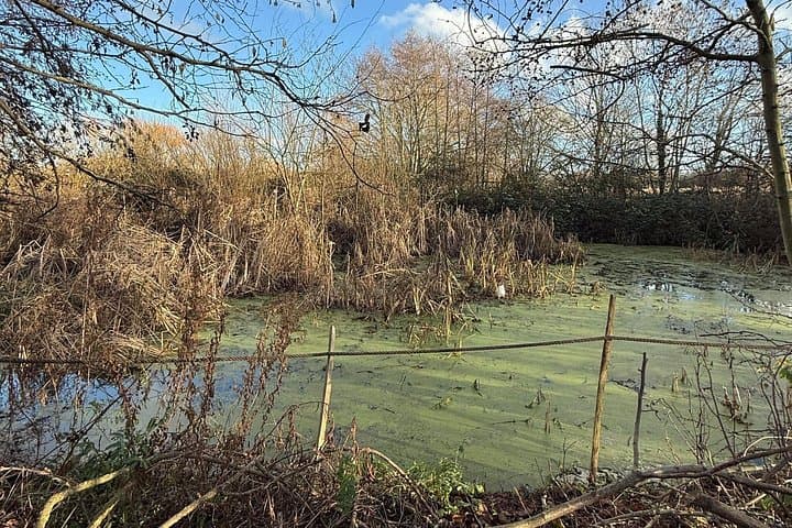 The Ealing Beaver Project: A Self-Guided Walking Tour