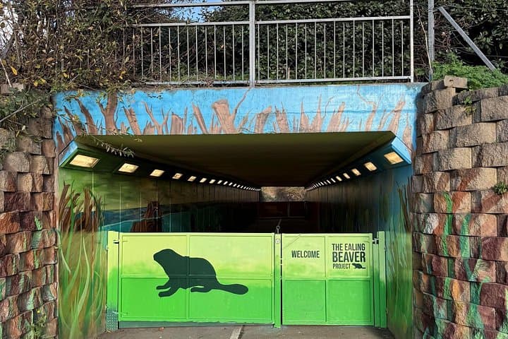 The Ealing Beaver Project: A Self-Guided Walking Tour
