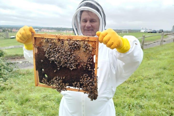 Bee a Beekeeper - Experience the buzz