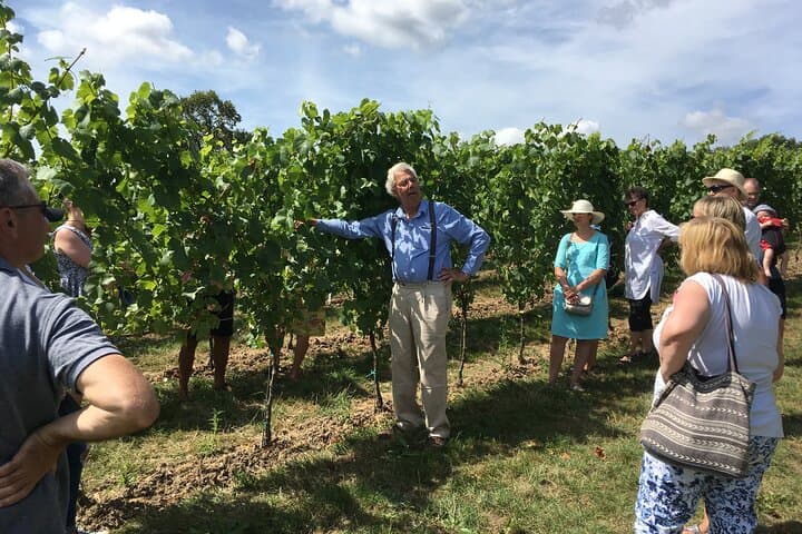 Vineyard manager explaining the life of a vine throughout the year