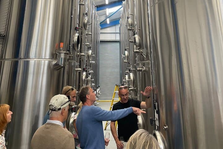 Winemaker explaining the wine making process