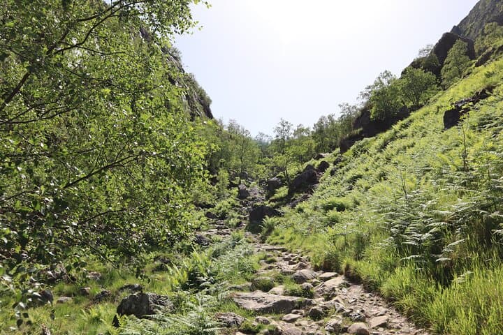 The path
