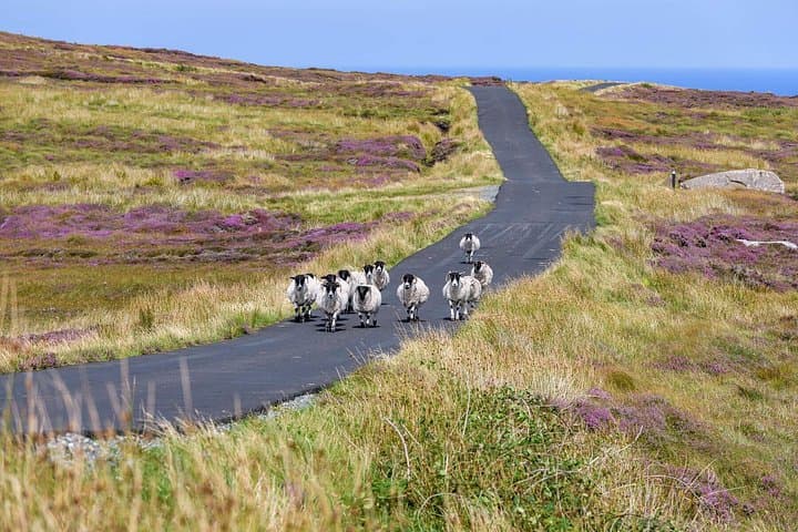 Bog road, Donegal