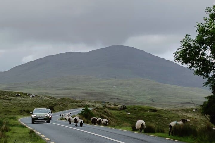 Day tour from Belfast to Galway with stops along the way
