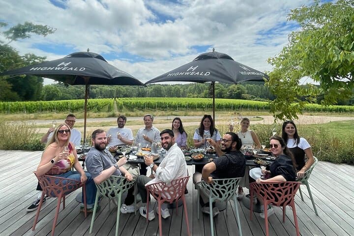 Enjoying a guided wine tasting overlooking the vineyard