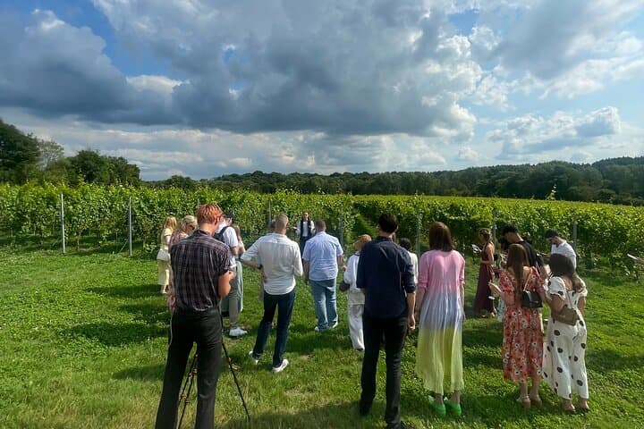 Vineyard tour