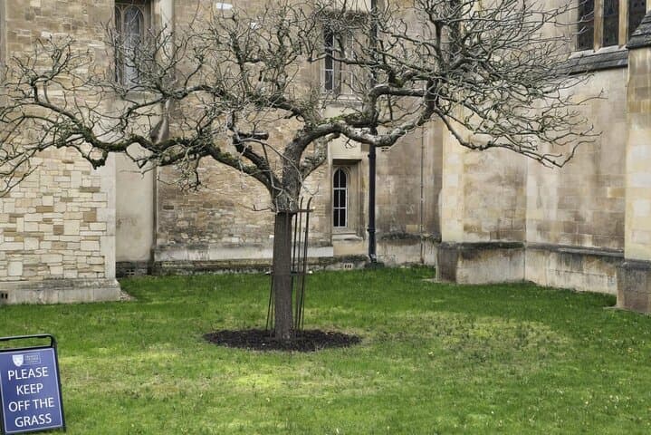 Explore Cambridge with Private Vehicle
