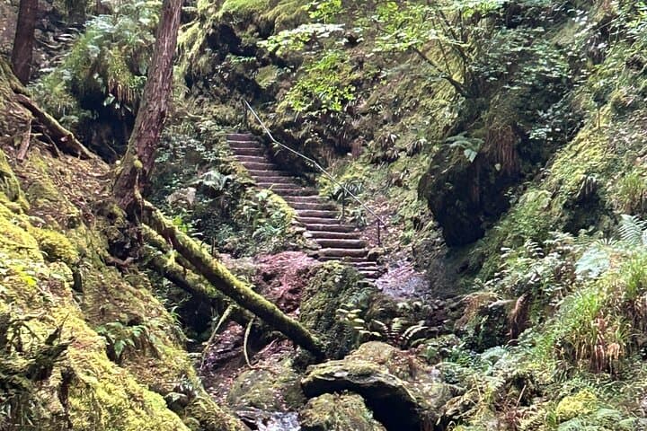 E-Bike Tour to a Fairy Glen and Hidden Waterfalls