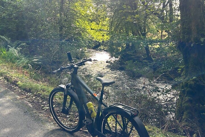 E-Bike Tour to a Fairy Glen and Hidden Waterfalls
