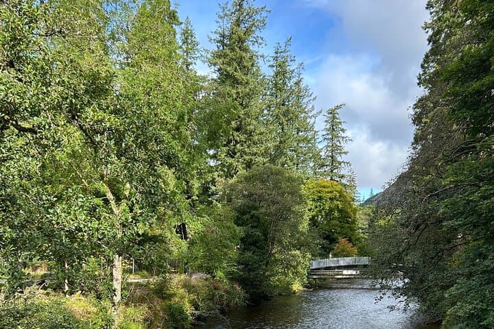 E-Bike Tour to a Fairy Glen and Hidden Waterfalls