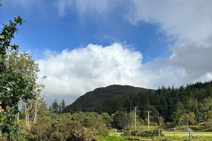 E-Bike Tour to a Fairy Glen and Hidden Waterfalls