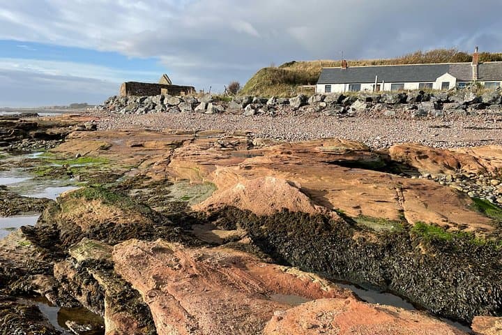 Gin 'On The Rocks': Coast, Geology & Climate-Positive Gin