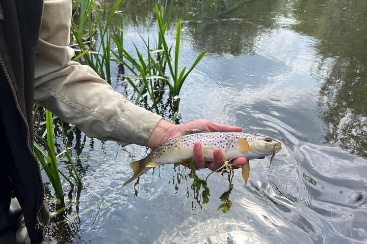 Chiltern Fly Fishing Safari on the River Chess