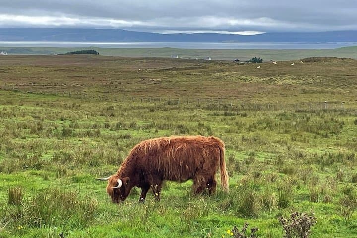 Luxury Private Day Tour of Edinburgh