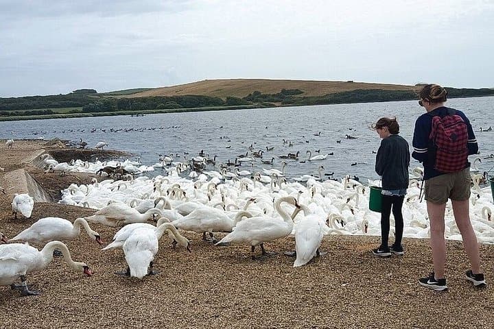 Jurassic Coast Dorset Explore Adventures Small Group Tour
