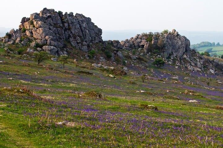 Dartmoor Tors