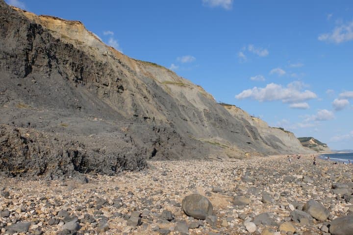 Private Guided Tour of Jurassic Coast