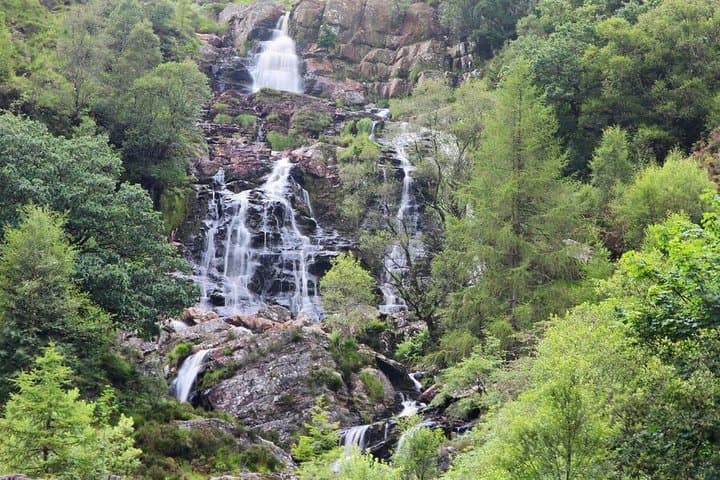 Lake Vyrnwy Day Trip Waterfalls Sculptures and Scenic Drives