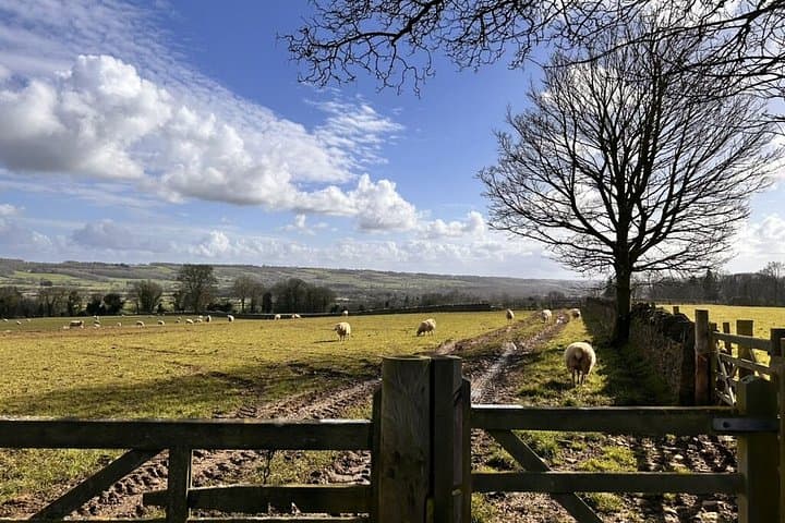 Private Cotswolds Day Tour from London: Customizable Experience