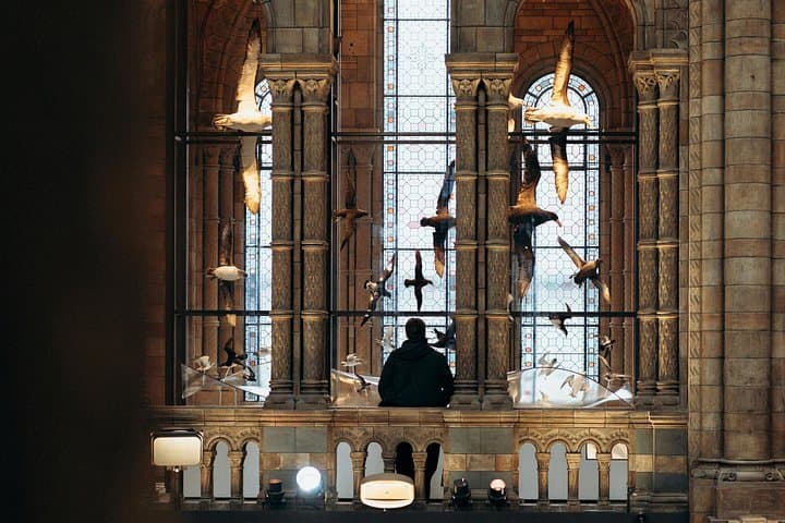 Natural History Museum London Private Tour