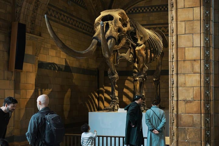 Natural History Museum London Private Tour