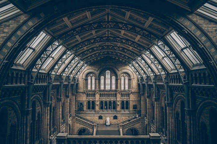 Natural History Museum London Private Tour
