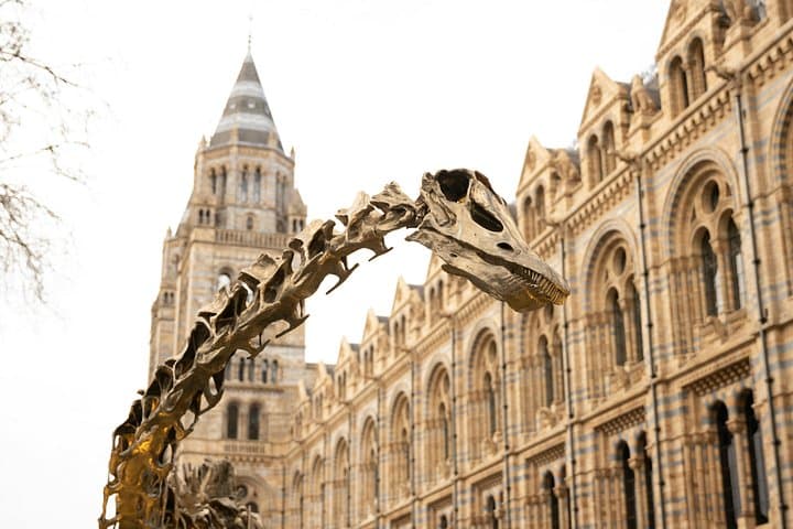 Natural History Museum London Private Tour