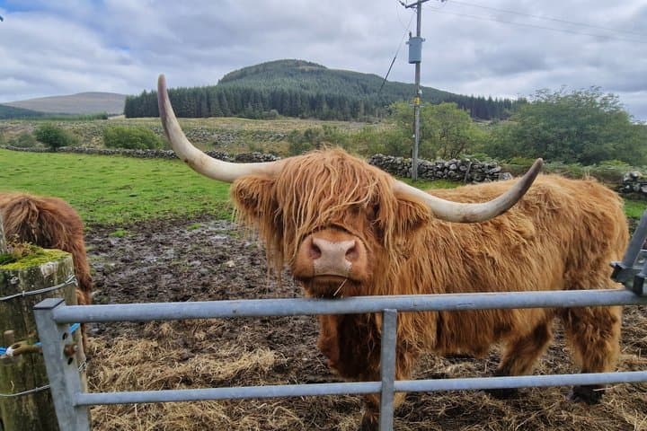 Highlands Explorer Argyll, Inveraray Castle Loch Lomond