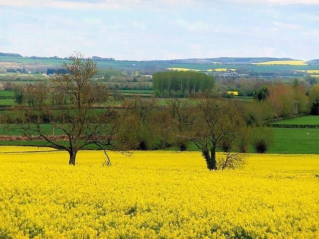 Cotswolds Road Trip Guidebook: Bourton, Bibury & Blenheim Palace