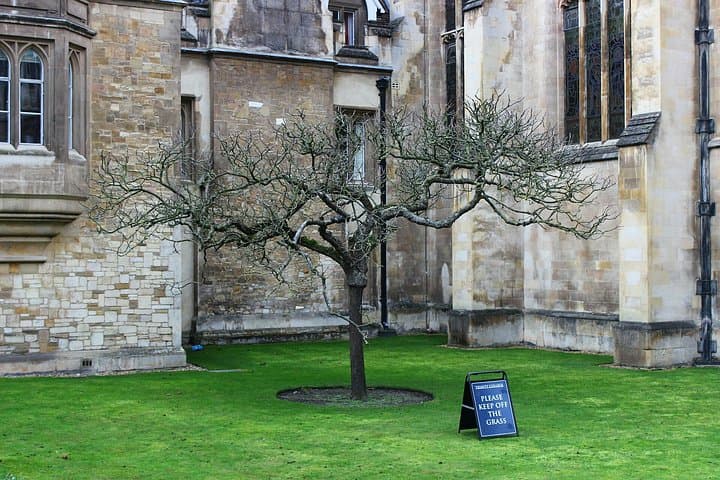 Bridges and Brilliance Cambridge UK Self Guided Tour with App