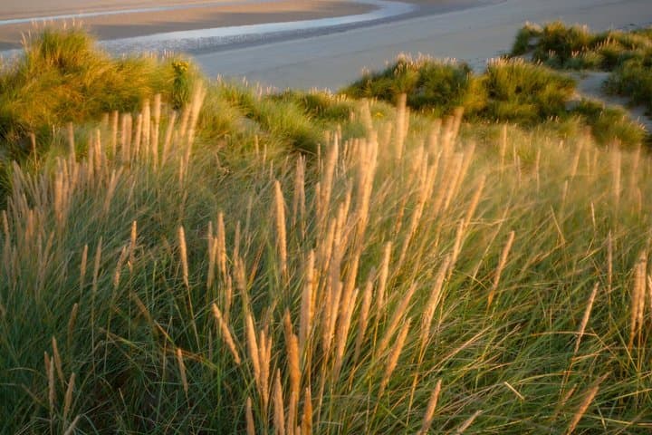 Private Lewis and Harris Tour History Distillery and Beaches