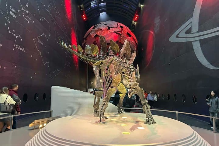 Guided tour London Natural History Museum in Spanish