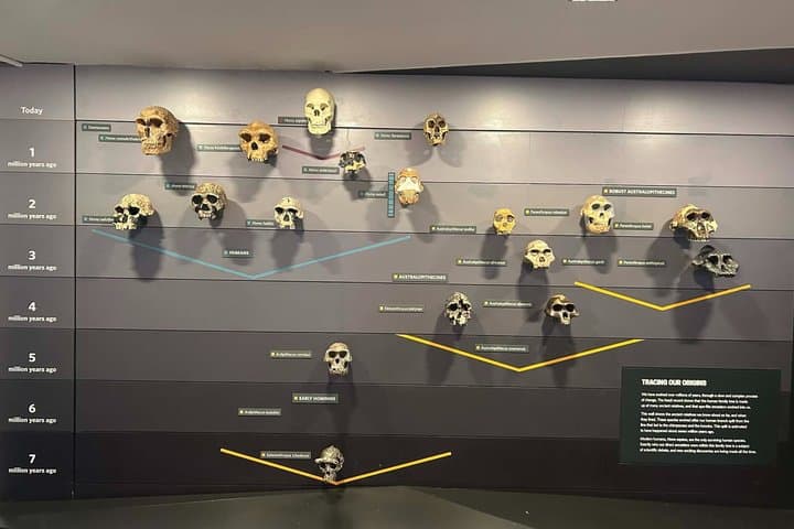 Guided tour London Natural History Museum in Spanish