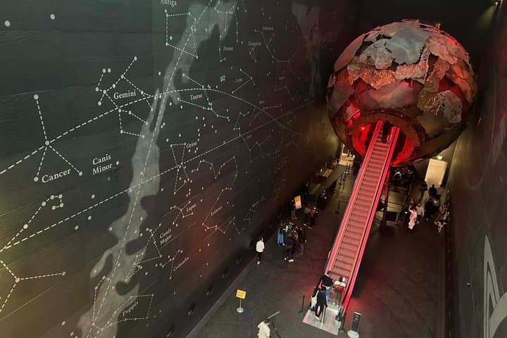 Guided tour London Natural History Museum in Spanish