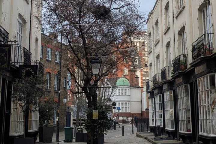 Bridgerton London Locations Walking Tour in Italian