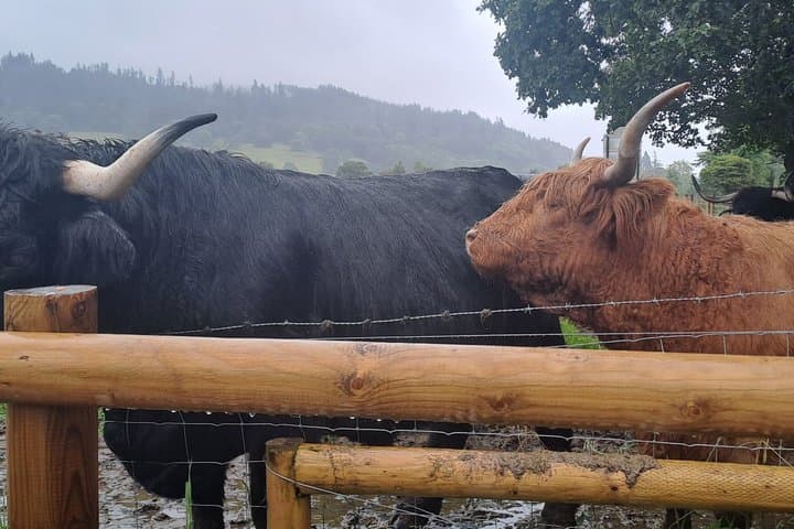 Loch Lomond and Whisky Tasting Tour