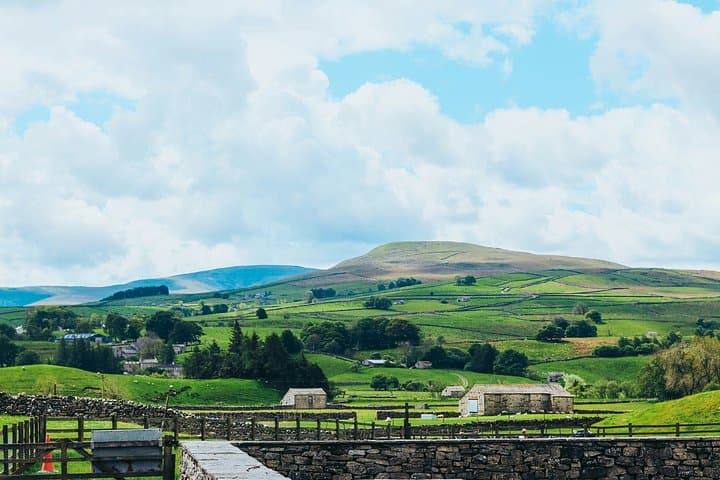 Yorkshire Dales Private Tour Swaledale and Wensleydale