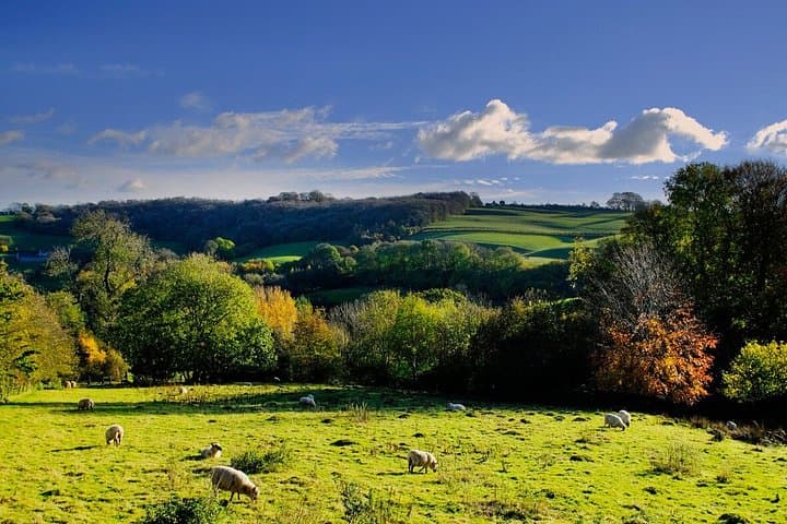 Cotswolds Private Tour to Windrush Valley and Minster Lovell