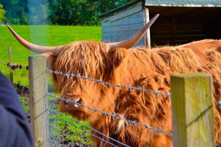 Highlands and Loch Ness The Complete Tour