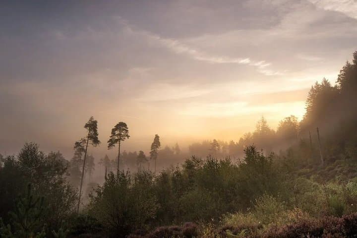 Private Tour: Trossachs and Scotland's Atlantic Rainforest