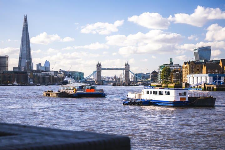 London Highlights Tour by Bus & River Cruise with British Museum