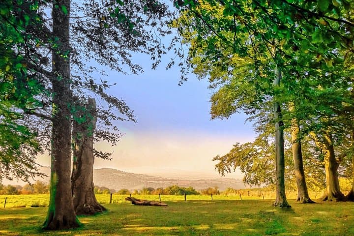Cotswolds in a Day Private Tour from London with Hotel Pickup