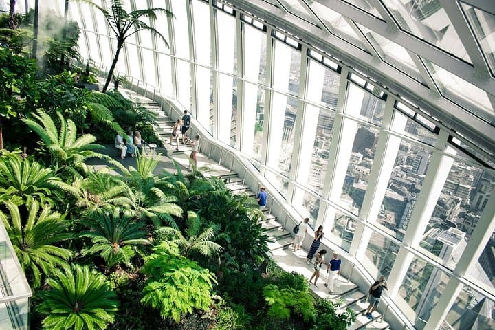 Sky Garden Early Access Ticket with Pastry and Hot Drink