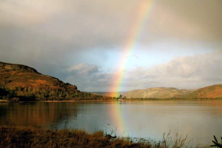 Private Invergordon Shore Excursion: Whisky, Castle & Golf Tour