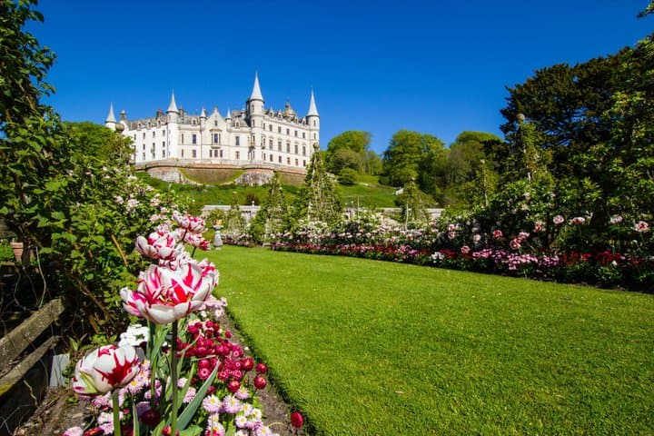 Private Invergordon Shore Excursion: Whisky, Castle & Golf Tour
